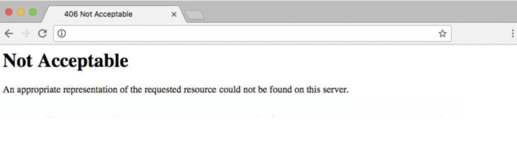 Error 406 in WordPress